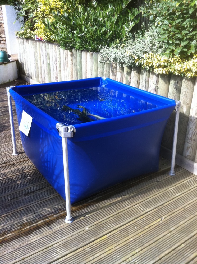 Ponds Maintenance in Hertfordshire | Aquatic Maintenance Service